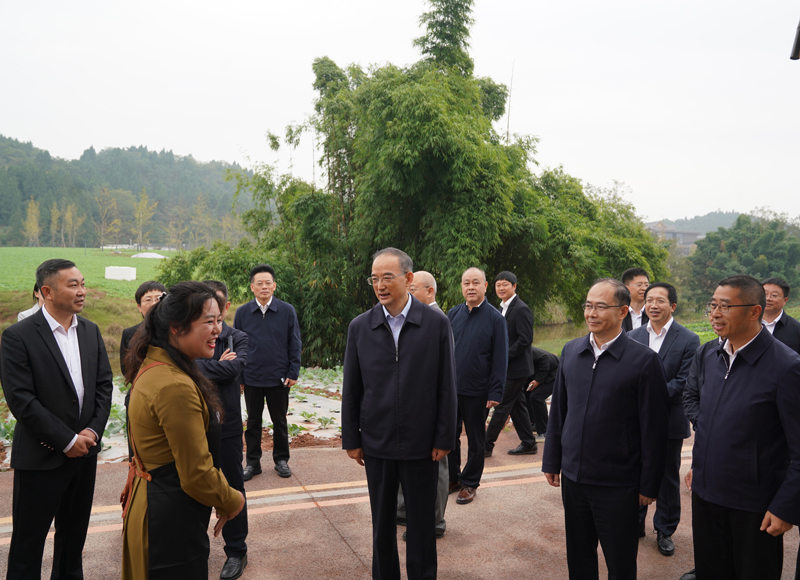 黄强在成都资阳调研督导时强调
铆足干劲奋力冲刺
确保完成全年目标任务「相关图片」