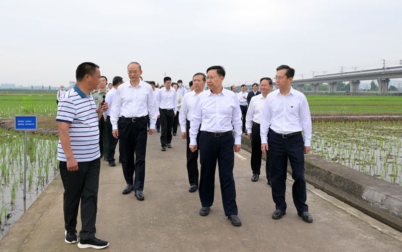 王晓晖率省级领导干部在眉山市开展主题教育实地学习时强调
坚持学思用贯通知信行统一
一步一个脚印把领袖关怀和嘱托落到实处「相关图片」