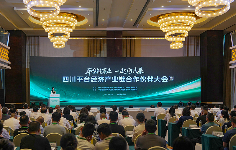 2025四川平台经济产业链合作伙伴大会在蓉举行
施小琳出席「相关图片」