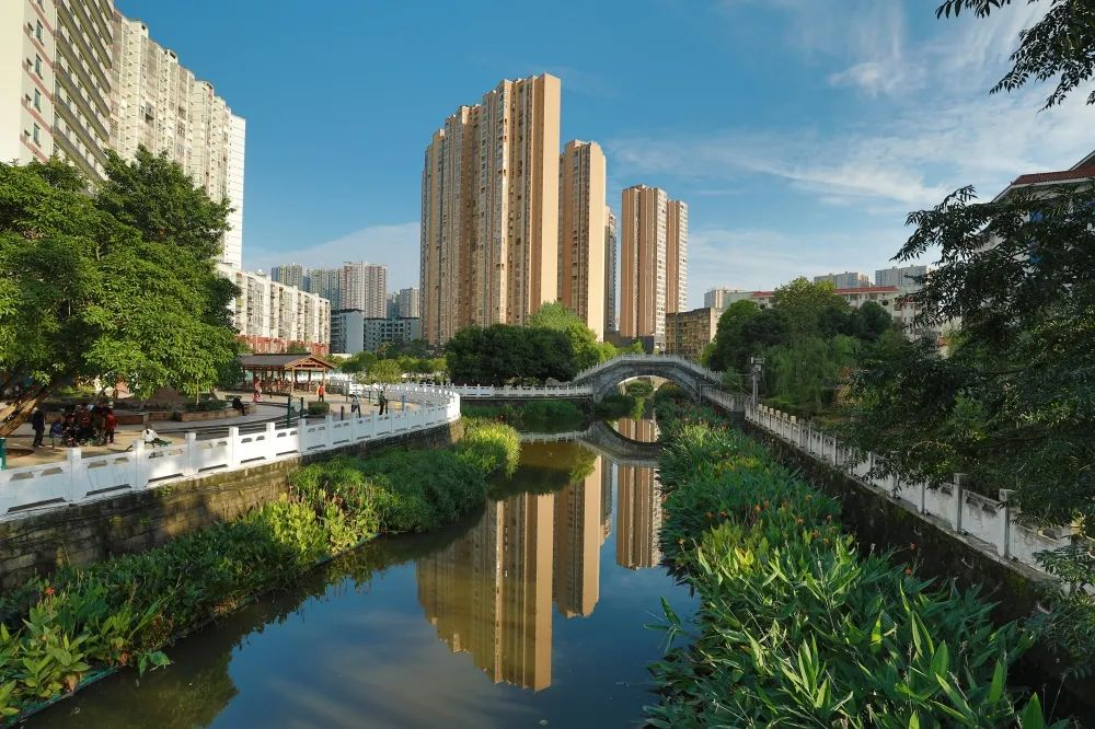 达州市大竹县筑牢绿色生态屏障河长制促河长治