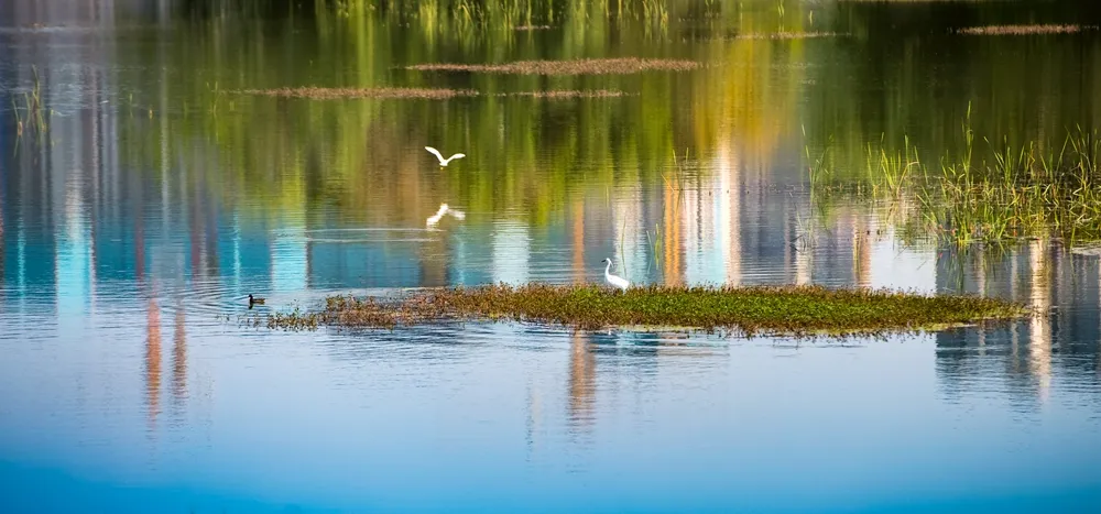 "美丽河湖巡礼"之成都市成华区