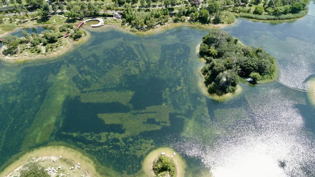 锦城湖公园占地2400亩,其中水面1000亩,绿地和园区建筑1400亩,是成都