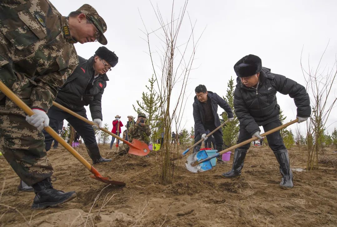 植绿黄河岸 共护母亲河 阿坝州开展2022年州级义务植树活动「相关图片」