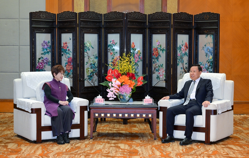 王晓晖会见中国国民党前主席洪秀柱「相关图片」