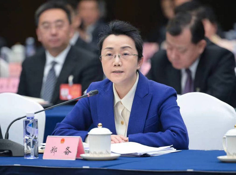 郑备：推动双城经济圈建设不断走深走实，奋力打造“两高地两基地一屏障”「相关图片」