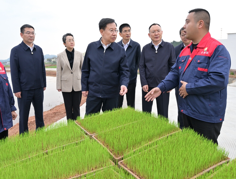 王晓晖在成都市德阳市调研时强调
在更高起点上进一步谋划推动高质量发展
因地制宜发展新质生产力不断塑造新动能新优势
施小琳参加有关调研「相关图片」