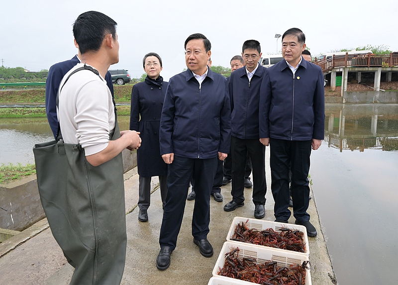 王晓晖在泸州市内江市调研时强调坚定用新的生产力理论指导发展实践奋力推动高质量发展不断取得新进展新成效「相关图片」