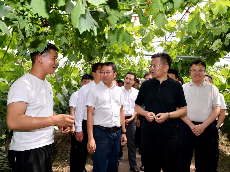 段毅君在攀枝花、凉山调研时强调 坚守耕地保护红线 推动资源优势转化「相关图片」