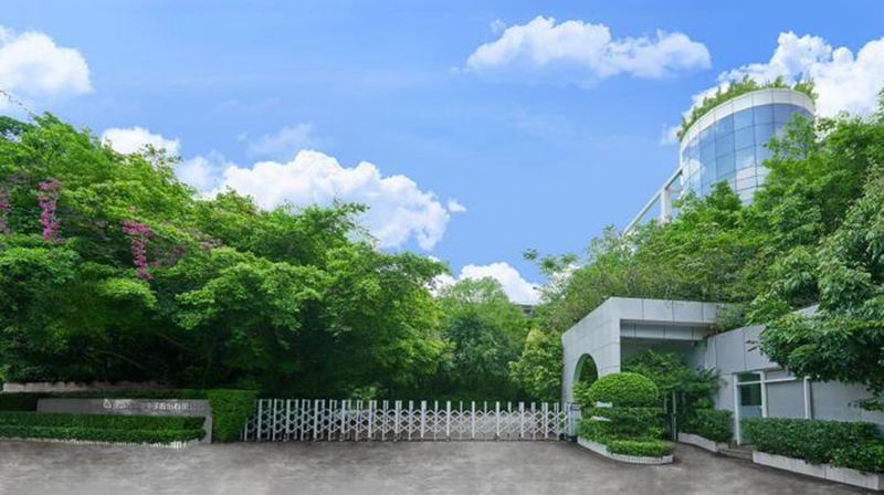 中国经济信心说丨绿动未来，让低碳成为一种生活方式「相关图片」