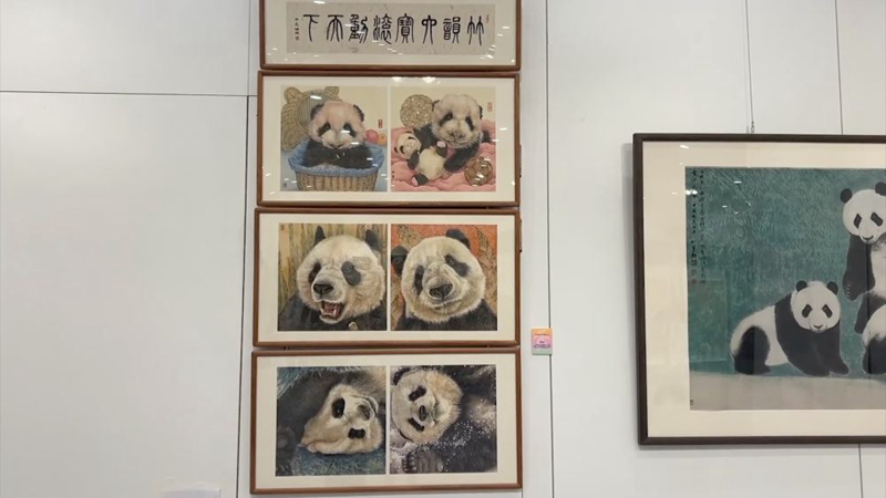 新華視點｜暑期文旅市場亮點紛呈：從清涼游到主題展 消費潛力持續(xù)釋放「相關(guān)圖片」