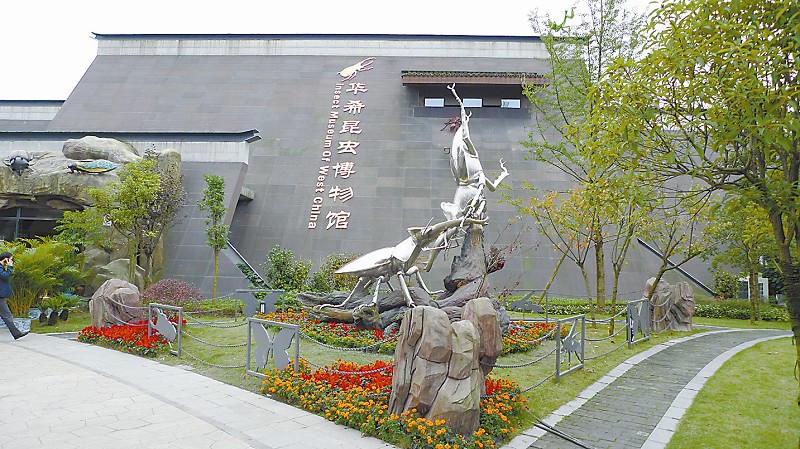 华希昆虫博物馆