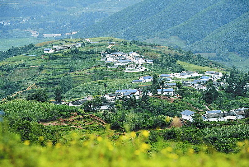 图说四川 7月26日,大山深处普格县特补乡红岩村村民嘎布日聪