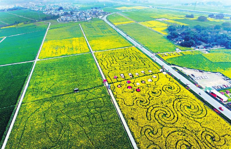 16年各大城市经济总量_印度各大城市(3)